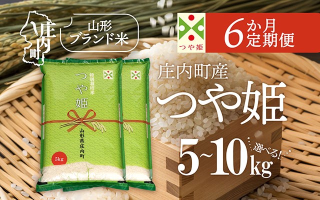 
                  【6か月定期便】庄内米 特別栽培米 つや姫 選べる配送開始月 内容量 5kg / 6kg / 10kg 令和7年産 / 令和8年産 ブランド米 米 山形 庄内平野 コシヒカリの原点、亀の尾発祥の地 庄内 お米の定期便【毎月下旬発送】
                