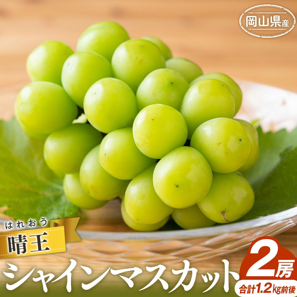 【ふるさと納税】シャインマスカット 2025年 晴王 2房 合計1.2kg前後 マスカット ブドウ 葡萄 岡山県産 国産 フルーツ 果物 ギフト | フルーツ 果物 くだもの 食品 人気 おすすめ 送料無料