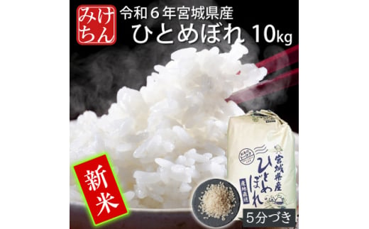 ＜新米＞令和6年産　宮城県産ひとめぼれ10kg　5分づき【1552904】