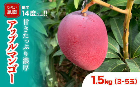 2024年 先行予約 アップルマンゴー 約1.5kg 3～5玉 西表島ひらい農園 マンゴー 果物 フルーツ