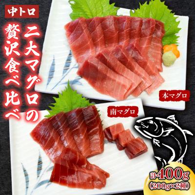 ふるさと納税 室戸市 本マグロ　南マグロ　中トロ各1柵　(計400g)　食べ比べ