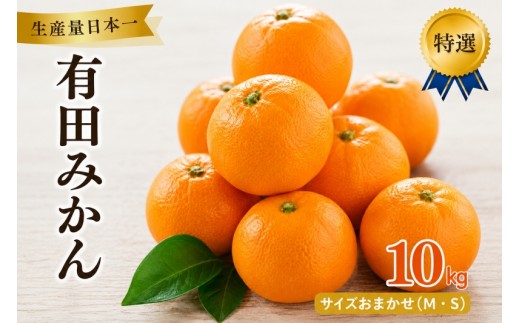 有田 みかん 特選 10kg / 温州みかん 有田みかん 甘い 高級 和歌山 柑橘 ※2026年12月順次発送予定 ※北海道・沖縄・離島への配送不可 【sml004-p-10】