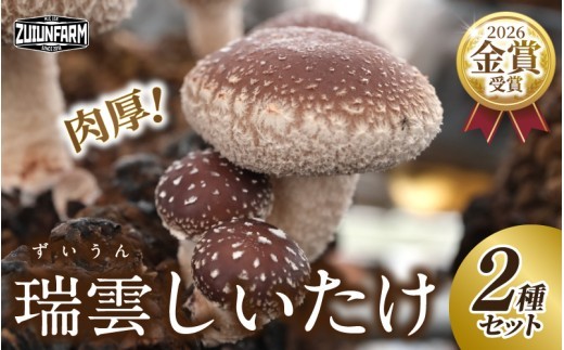 
                  瑞雲しいたけ2種セット／2026年10月～2027年2月上旬頃お届け/ 瑞雲しいたけ 瑞雲椎茸 しいたけ 椎茸 シイタケ 生しいたけ 生椎茸 国産しいたけ 国産椎茸 きのこ キノコ 茸 国産きのこ 2種 2種類 2種セット しいたけセット 椎茸セット きのこセット 野菜 国産野菜 旬野菜 秋野菜 冬野菜 秋の味覚 冬の味覚 採れたて 産地直送 お取り寄せ お取り寄せ野菜【zufm0002】
                