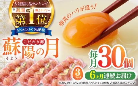 【全6回定期便】熊本県産 蘇陽の月 30個入り ( 10個入り × 3パック ) 山都町 たまご 卵【蘇陽農場】 [YBE019]