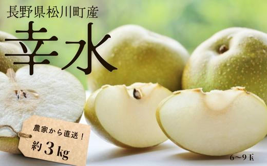 KW09-25A 梨 幸水 約3kg（6～9玉）松川町産 贈答 / 8下旬頃～配送予定  // 長野県 南信州 松川町 和梨 梨 なし ナシ 産地直送 農家直送 農家支援 贈答 幸水 果物 フルーツ