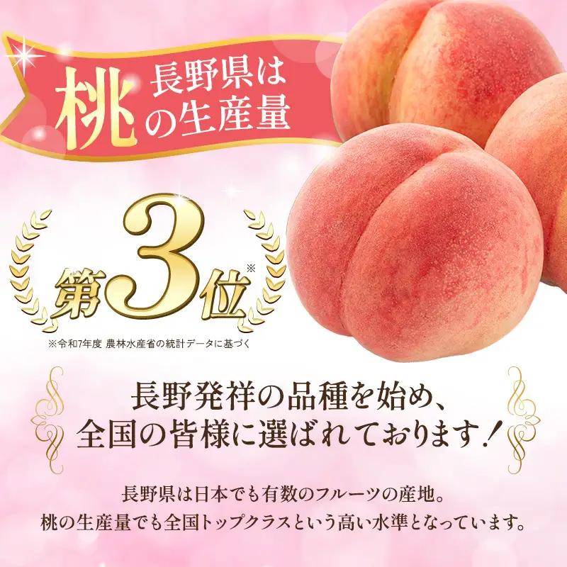 桃 川中島白桃 秀品 約2kg 5～9玉 果物 フルーツ 桃