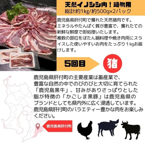 【E90002】＜定期便・全5回＞肝付町セレクト定期便《肉だらけ定期便B》 鹿児島 牛肉 黒毛和牛 豚肉 黒豚 鶏肉 唐揚げ 味付け 定期便 セレクト 加工品 肉加工品 簡単調理 冷凍 冷凍食品 【株