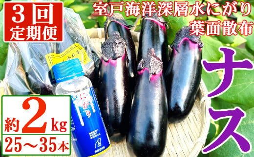 
【定期便3回発送】農家直送　土佐の美味茄子の新鮮ナス　２kg　（室戸海洋深層水にがり使用） 野菜 なす ナス 常温 小袋 国産 夏野菜 茄子 小分け 旬 15000円
