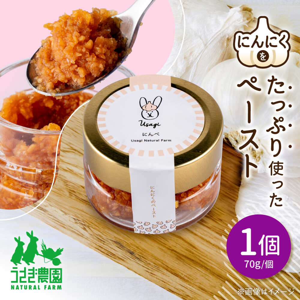 【ふるさと納税】にんぺ にんにくのペースト (70g×1個)【うさぎ農園】[AYDJ007] にんにく ガーリックペースト 時短 調味料 熊本 国産 手間いらず お取り寄せ