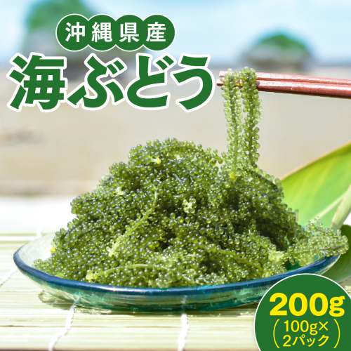沖縄県産　海ぶどう　100g× 2 パック（ご自宅用）|海ぶどう 新鮮 お取り寄せ グリーンキャビア 沖縄県 南城市 有限会社板馬養殖センター