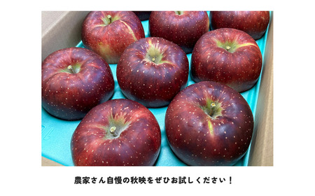 KR25-25A りんご 秋映 約3kg（5～10玉） 贈答 / 2025年10月上旬頃～配送予定 // 南信州 長野県 松川町産 ギフト りんご リンゴ 林檎 秋映 3kg 農家直送 農家支援 贈答