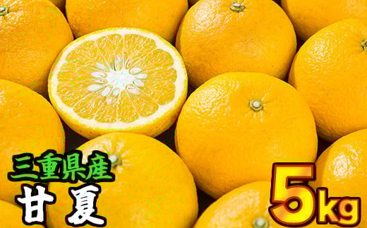 三重県産　サンフルーツ（甘夏） 5kg【出荷目安：３月中旬〜４月下旬】　II-70