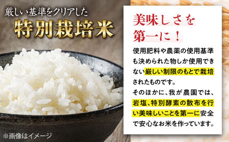 【特別栽培米】コシヒカリ 10kg[AQCQ013] 米 白米