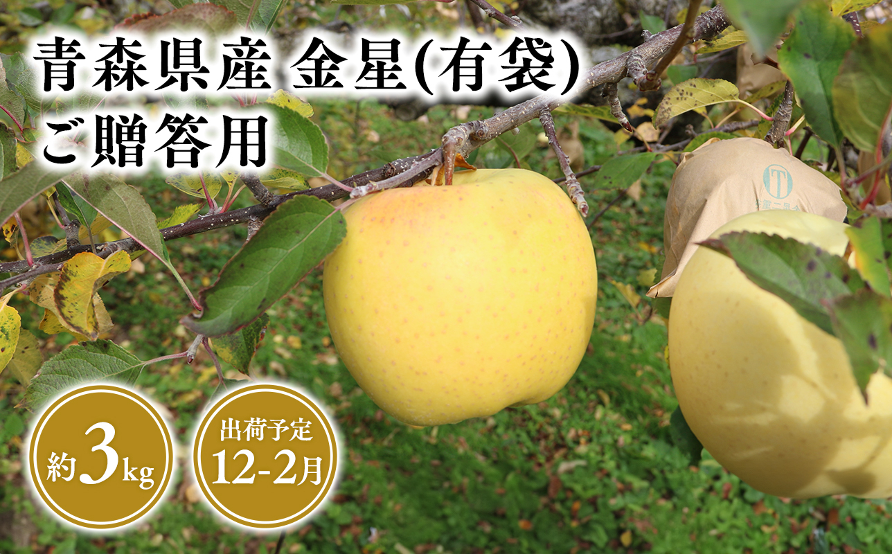 
                  2025年産１２月～２月発送　贈答用金星(有袋)3ｋｇ　【そと川りんご園・１１月・１２月・１月・２月・青森県産・平川市・りんご・金星(有袋)・3ｋｇ・贈答用】
                