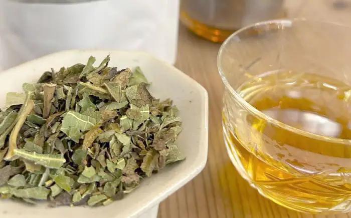 【お中元対象】お茶 無花果茶ブレンド茶詰め合わせ お茶 BLBG002
