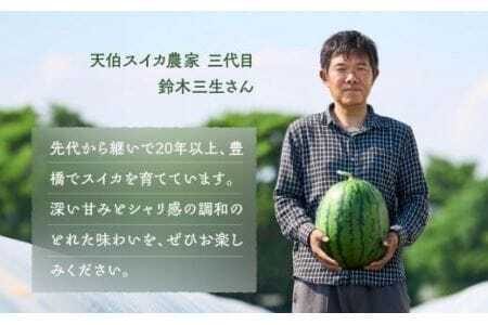 天伯スイカ 1玉 7kg 2L 糖度11度 スイカ