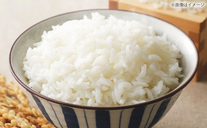 【令和7年産】【数量限定50個】 島根県産「出雲神名火きぬむすめ」20kg（2kg×10）島根県松江市/有限会社藤本米穀店 [ALCG043]