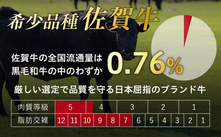 艶さし！ 佐賀牛 切り落とし 肩orバラ 500g 吉野ヶ里町 佐賀牛 佐賀 牛肉 肉 切り落とし ブランド牛 国産 [FDB006]