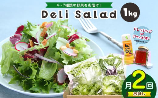 【 お試し 月2回 】 サラダミックス ＼ デリサラダ ／ Deli Salad ★ ドレッシング or ジャム付き セット サラダ ミックス 1kg | アグリード お手軽 ミックス野菜 西洋ハーブ 個別包装 新鮮 おいしい 美しい野菜 水耕栽培 安定の品質 健康 千葉県 君津市 きみつ