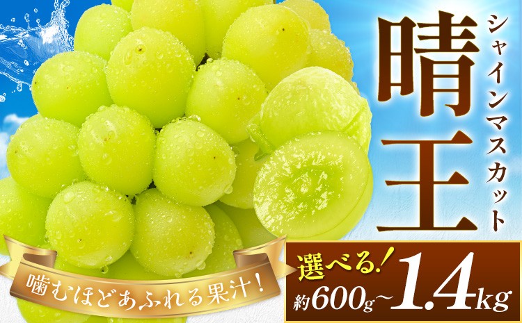 
            【2026年先行予約】ぶどう シャインマスカット 晴王 選べる 約600g 約700g 約1.2kg 約1.4kg 満天フルーツ《2026年9月上旬-10月末頃出荷》岡山県 浅口市 送料無料 マスカット フルーツ 果物 お取り寄せフルーツ 贈り物 ギフト 国産 岡山県産【配送不可地域あり】
          