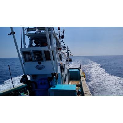 ふるさと納税 陸前高田市 生きたまま発送 毛ガニ 約250g×6匹 陸前高田市産 かに カニ 蟹 活毛ガニ 新鮮 濃厚 天然 |  | 02