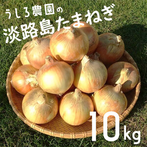 玉ねぎ 淡路島産 10kg 中生 うしろ農園 玉ねぎ