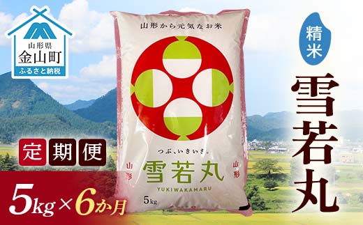 令和7年産《定期便》 金山産米 雪若丸【精米】5kg×6ヶ月 計30kg 定期便 6ヶ月 米 お米 白米 ご飯 精米 ブランド米 雪若丸 送料無料 東北 山形 金山町 F4B-0693