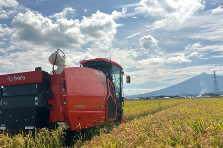 令和7年産 つがる市産 はれわたり 白米 5kg｜2025年産 はれわたり 白米 お米 米 コメ 精米 農協 特A 青森 新米 [0932]