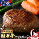 【ふるさと納税】美崎牛ハンバーグ200g×6個 | お肉 美崎牛 ハンバーグ 牛肉 肉 沖縄県 石垣市 | tokyoFMで紹介された美崎牛です！♪ O-5