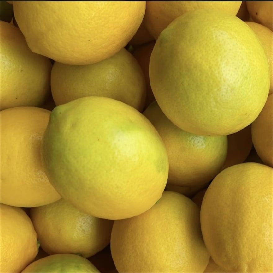 
            丹波市産　檸檬｛山麓のレモン｝ 1.2kg
          