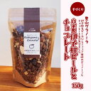 【ふるさと納税】【先行受付】自家製伊予柑ピールとチョコレートのグラノーラ（150g×1袋）　※2024年10月下旬～2025年4月下旬頃に順次発送予定