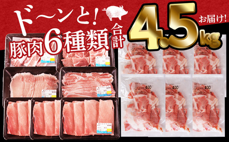 ＜宮崎県産豚肉バラエティー詰合せセット 4.5kg＞2025年12月に順次出荷【 国産 宮崎県産 ぶた にく 精肉 とんかつ トンカツ 焼肉 焼き肉 スライス 小間切れ 豚こま 詰め合わせ 6種類 肩
