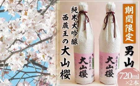 『期間限定』男山 純米大吟醸 西蔵王の大山櫻 720ml×2本【令和7年3月中旬～発送】 FZ22-519