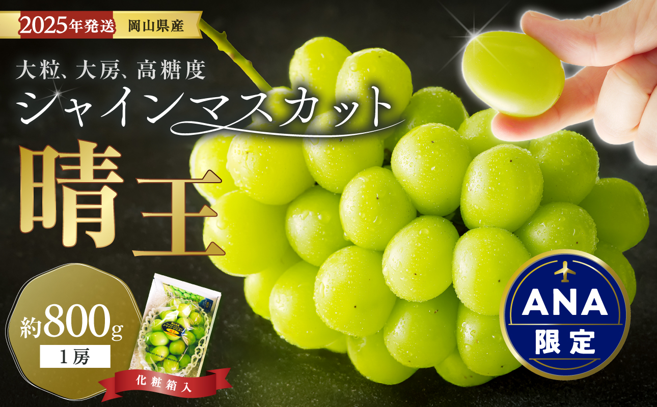【ANA限定】【2025年発送分 先行受付スタート】岡山県産シャインマスカット「晴王」 秀品  1房 （約800g）【シャインマスカット 大房 大粒 岡山県産 秀品 種無し 高糖度 葡萄 ぶどう 御中元 ギフト 御礼 化粧箱入 プレゼント 御祝 御供  果物 くだもの フルーツ 】