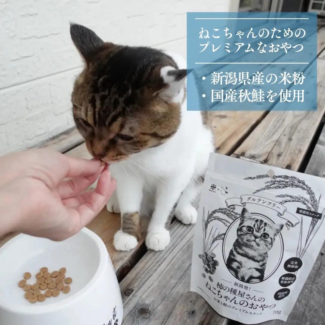 柿の種屋さんのねこちゃんのおやつ お米と鮭のプレミアムスナック 10個セット 阿部幸製菓
