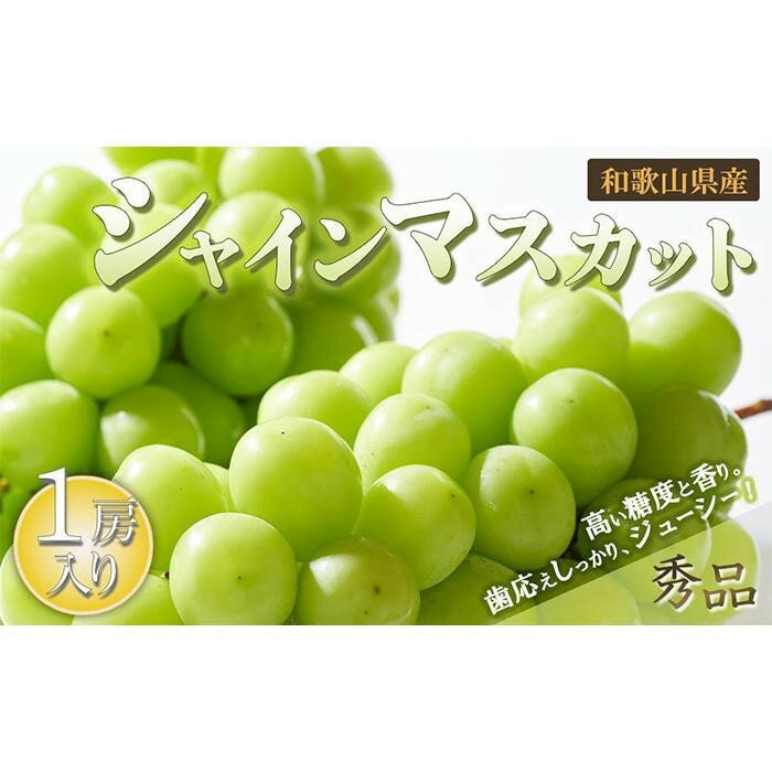 【ふるさと納税】【選べる容量】◆先行予約◆和歌山県産 シャインマスカット 1房～4房入り〈秀品〉［2026年8月中旬以降出荷］［MG22］ | フルーツ 果物 くだもの 食品 人気 おすすめ 送料無料