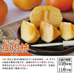 SE0505　【3回定期便】自然の恵み　夏・秋フルーツ定期便2026 (小玉スイカ、彩りメロン［青肉・赤肉］、柿)