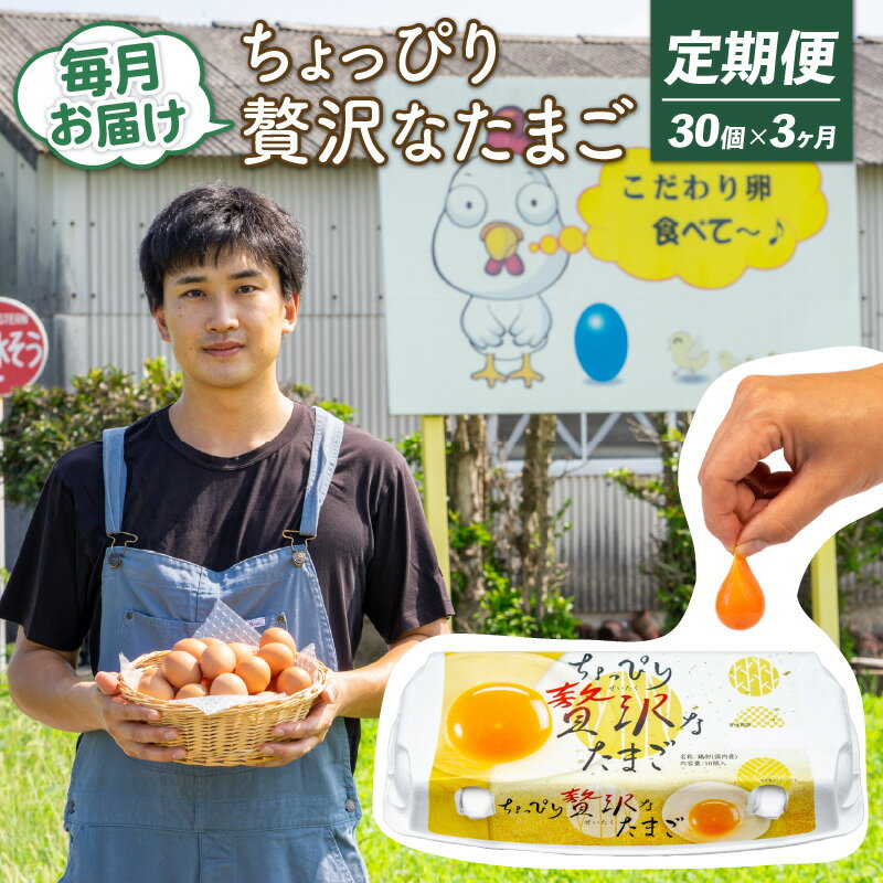 【ふるさと納税】 【定期便3回】こだわり たまご 30個 (10個×3パック) 新鮮 平飼い 卵 埼玉県 羽生市 送料無料