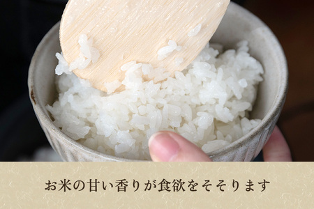 【令和7年産】新潟産コシヒカリ「雪椿米」特別栽培米 精米5kg 白米真空パック