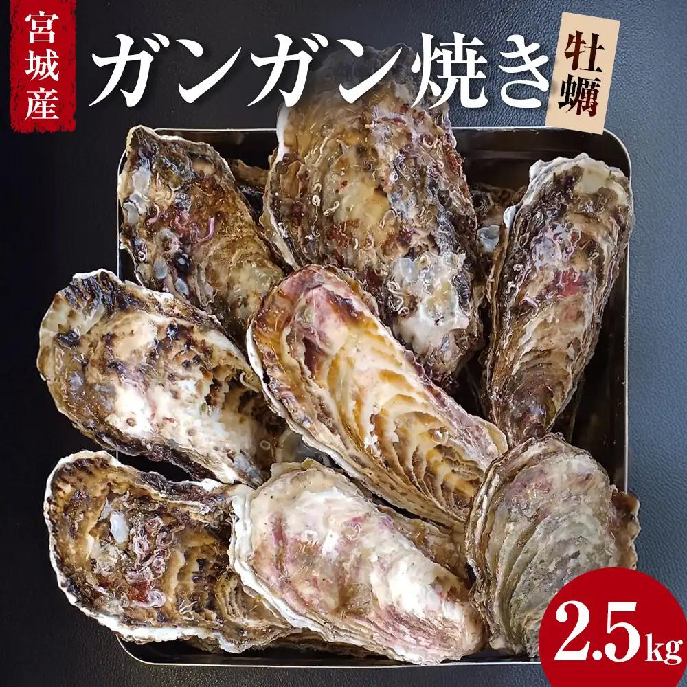 牡蠣 ガンガン焼き 2.5kg 宮城県産 加熱用 真牡蠣 かき カキ 蒸し牡蠣 貝 貝類 海産物 魚介類 海鮮 冷凍 宮城県 宮城 石巻市 石巻