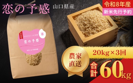 【定期便3ヶ月】 令和8年米  恋の予感 玄米 20kg (10kg×2袋) 計60kg