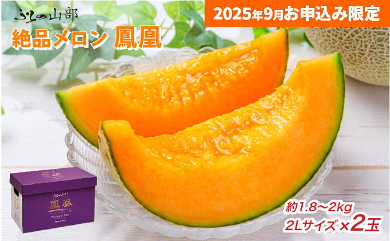 【9月限定特別価格★】ふらの山部の絶品メロン『鳳凰』 2L（1.8～2kg）×2玉（坂口農産）メロン フルーツ 果物 新鮮 甘い 贈り物 ギフト 道産 ジューシー おやつ ふらの ブランド 夏