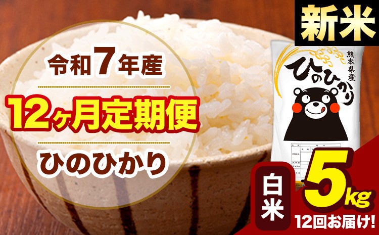 
            新米 令和7年産 【12ヶ月定期便】 白米 米 ひのひかり 5kg《お申し込み月の翌月から出荷開始》熊本県 大津町 国産 熊本県産 白米 送料無料 ヒノヒカリ こめ お米
          