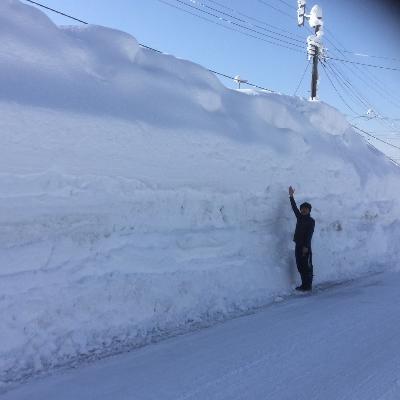 ふるさと納税 魚沼市 【令和7年産】雪室貯蔵米【無洗米】お米マイスター厳選1等米　魚沼産コシヒカリ100%2.5kg |  | 02