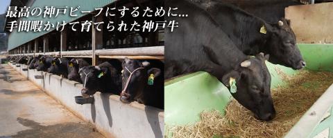 【川岸畜産】神戸ビーフ 牝　小間切れ １ｋｇ　21-4