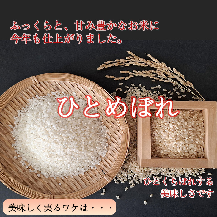  ひとめぼれ 無洗米 10kg（5kg x 2個入れ） 【1815】_イメージ3