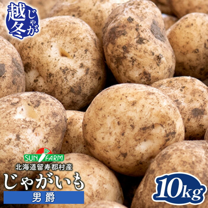 【ふるさと納税】越冬じゃがいも 男爵 10kg いも おいも 芋 イモ ジャガイモ ポテト だんしゃく オンライン 申請 ふるさと納税 北海道 留寿都 野菜 根菜 産地直送 新鮮 採れたて ポテトサラダ コロッケ マッシュポテト 10キロ 留寿都村【24023】