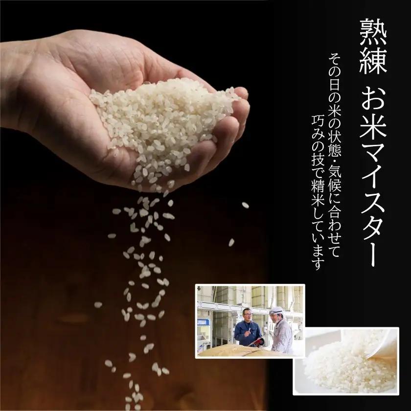 令和8年産 こしひかり 30kg ( 5kg × 6袋 ) ( 白米 ) 宮崎県産