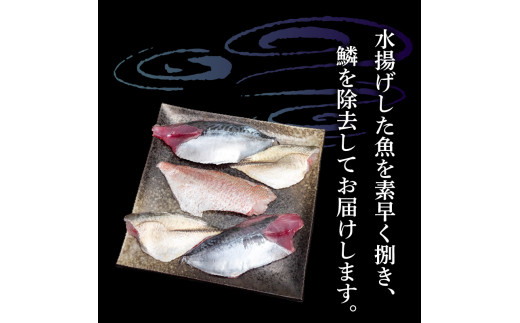 天然 鮮魚 詰め合わせ 朝獲れ直送 下処理済み 3~5種入り 1kg～1.5kg （2026年5月出荷） 冷蔵 刺身 魚種お任せ 水揚げ 海鮮 魚介 産地直送 新鮮 魚 鮮魚ボックス