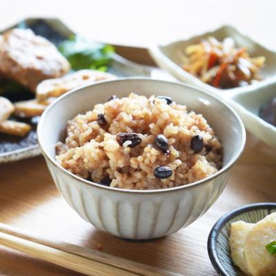 ふるさと納税 宗像市 発芽酵素玄米 15食セット【MINORI CAF 発酵食カフェ】_HA1772